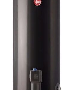 #2605_Termotanque a gas natural Rheem AEE TGNP120RH; 120 litros; Conexión Superior; De Pie